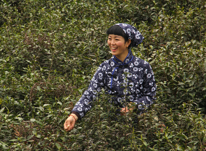 暗网禁区